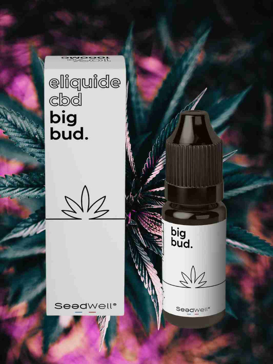 E-liquide CBD Big Bud