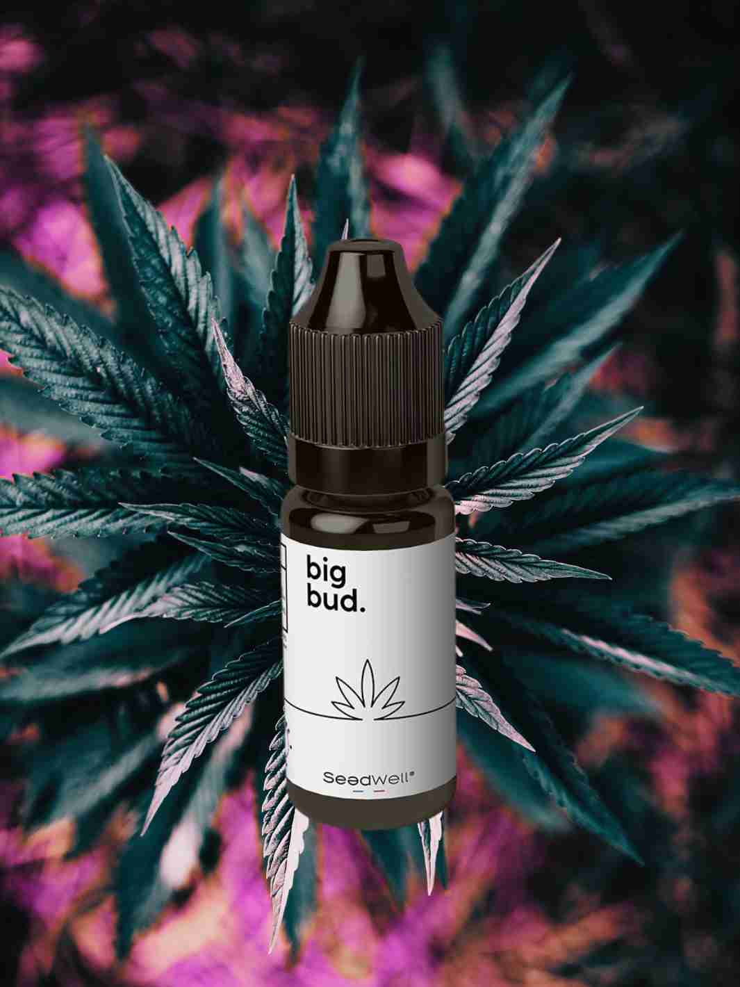 E-liquide au Cannabidiol Big Bud